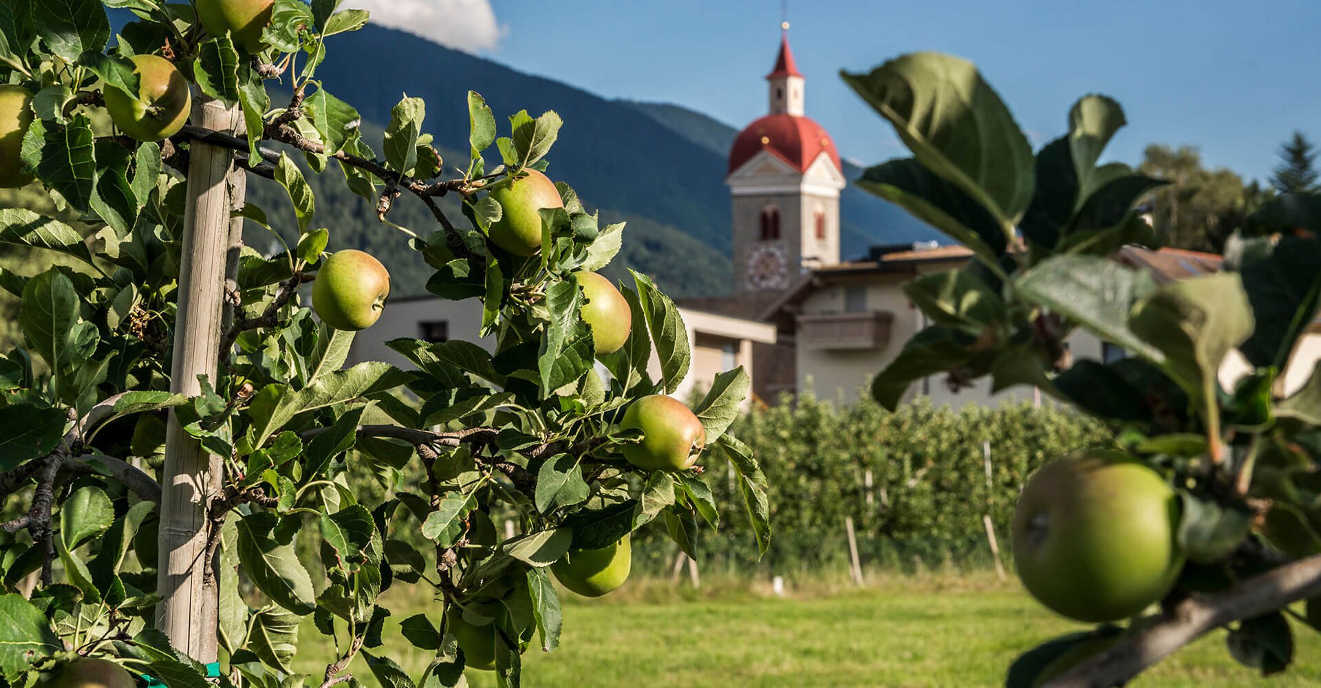 Gasthof Anich in Brixen