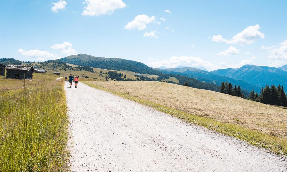 rodenecker alm