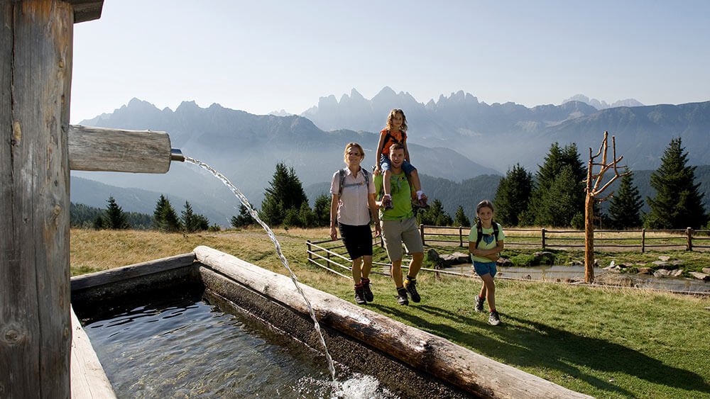 Wanderurlaub in den Dolomiten auf der Plose in Südtirol
